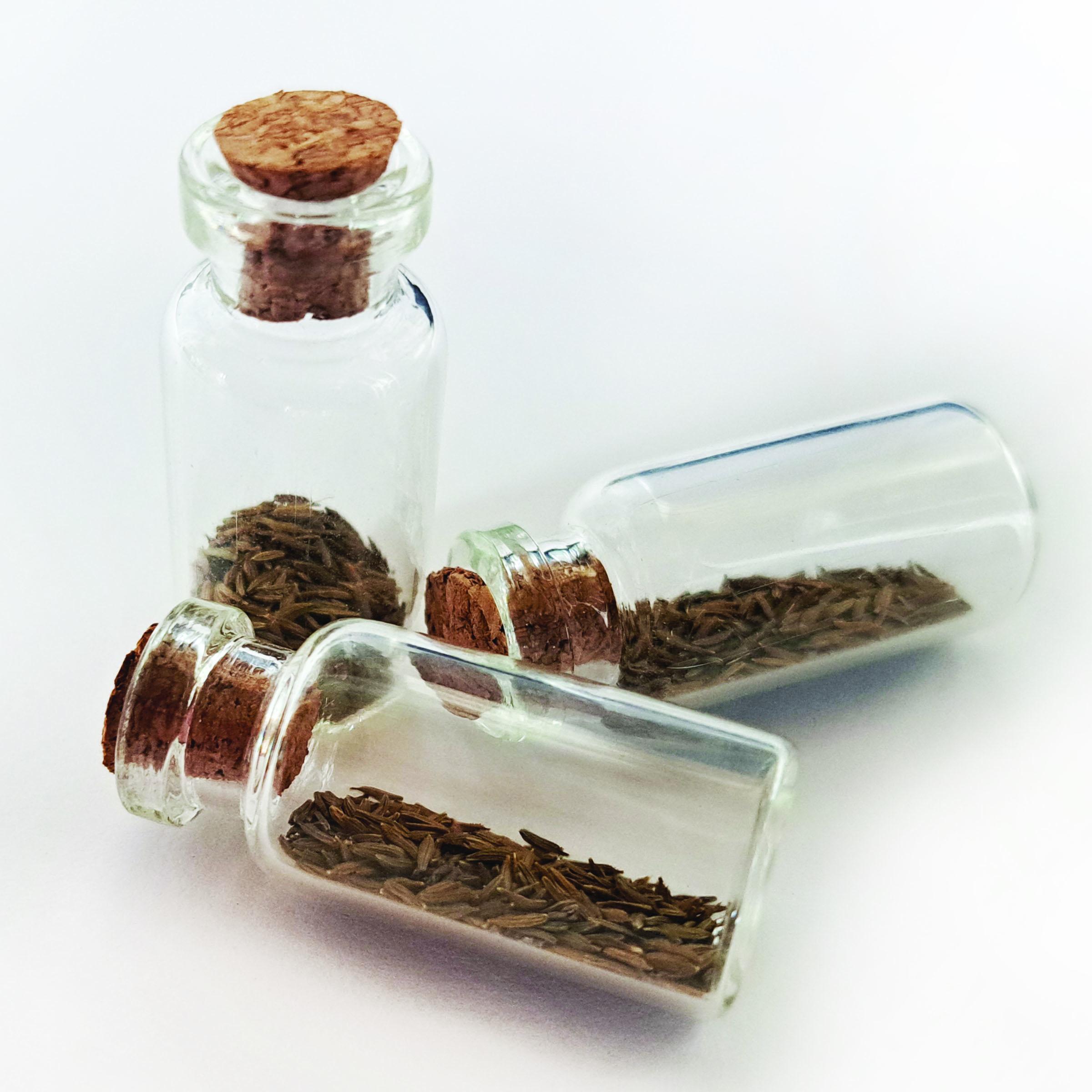 Three small clear glass jars with
natural cork tops, each filled with brown dandelion seeds.