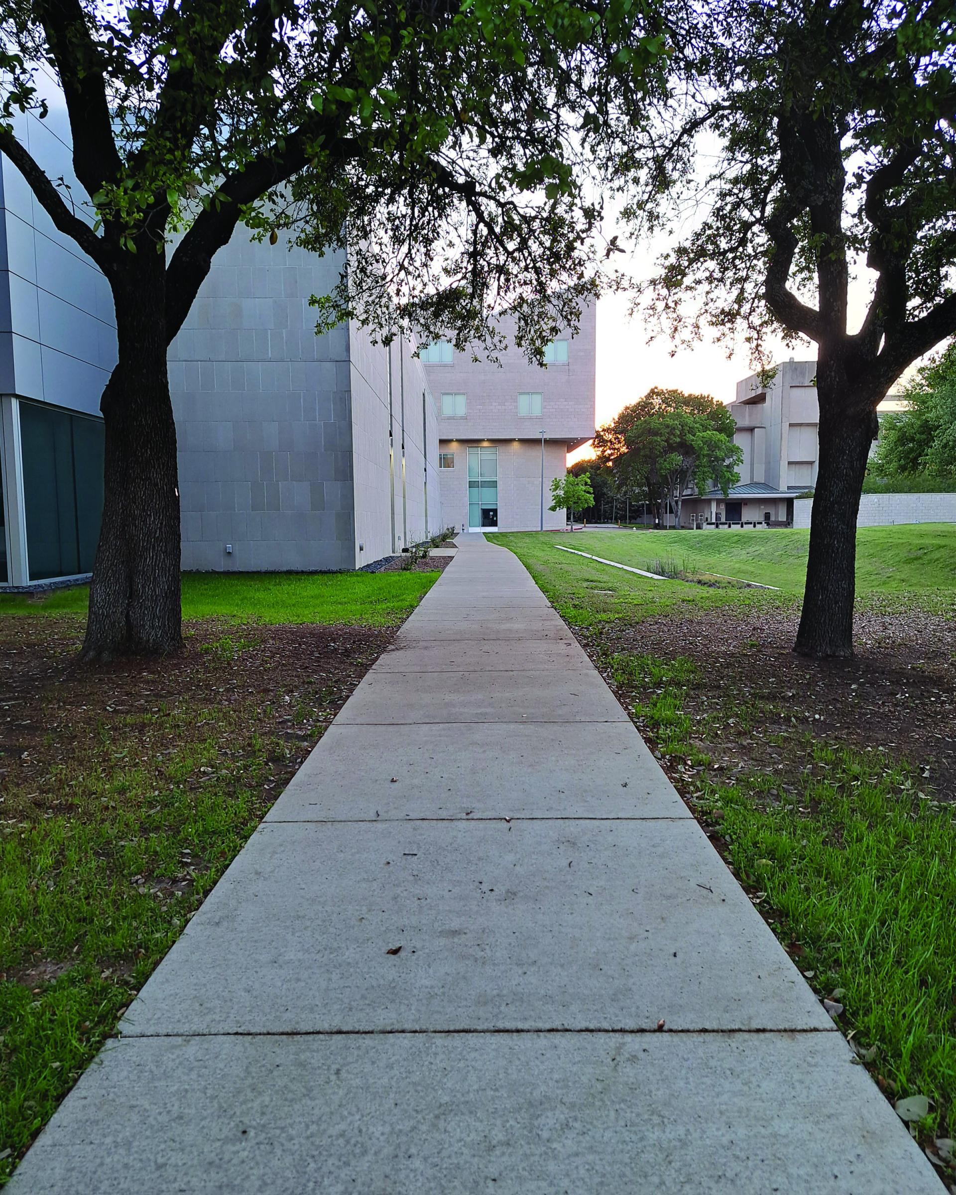 Image of the location of the workshop and material collection. The center of the image is a sidewalk with trees and grass on each side and buildings to the left and top of the image.