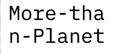 New%20-%20More%20than%20Planet%20Logo.png