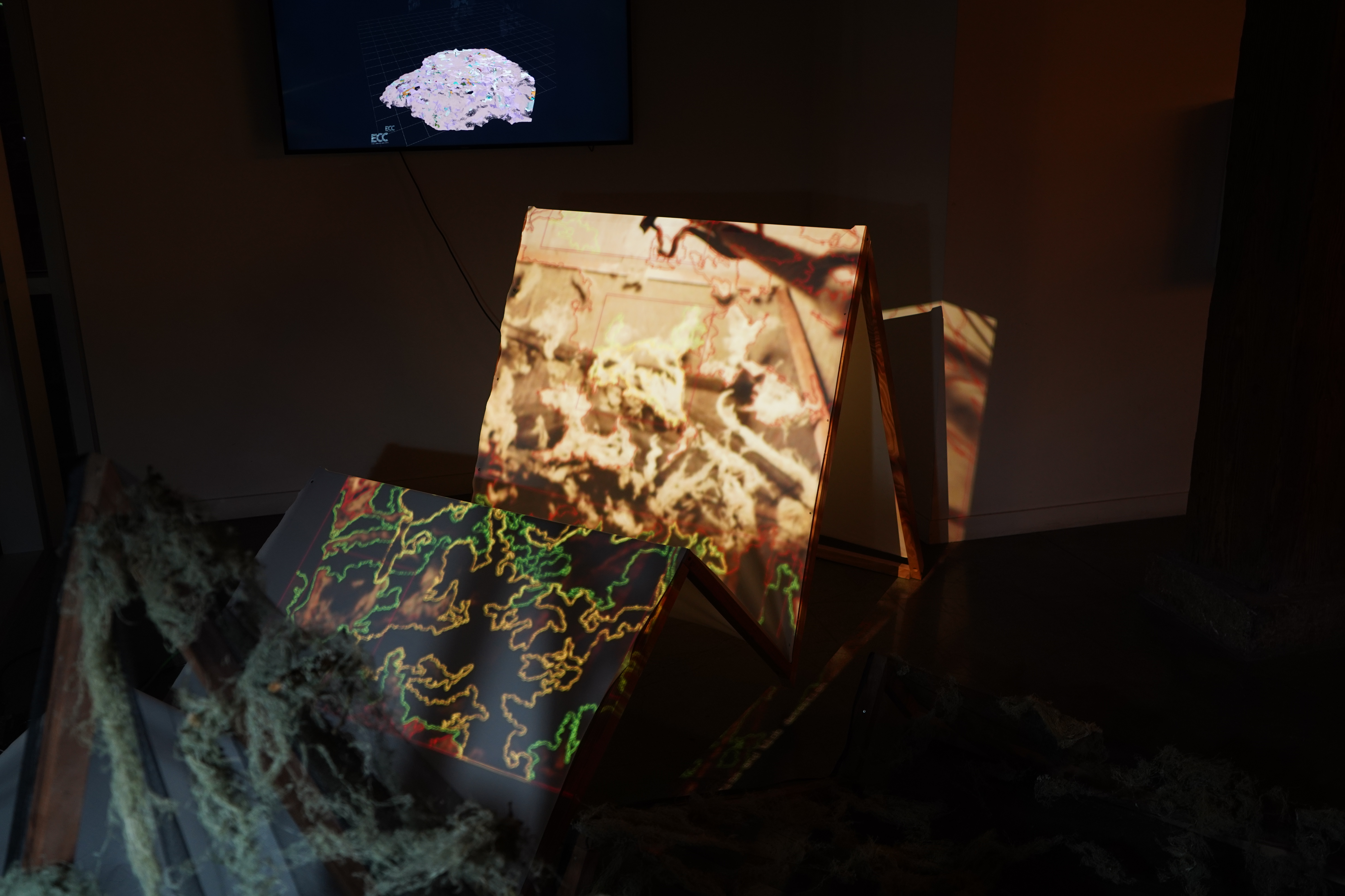 Lichen Interface prototype art installation at night