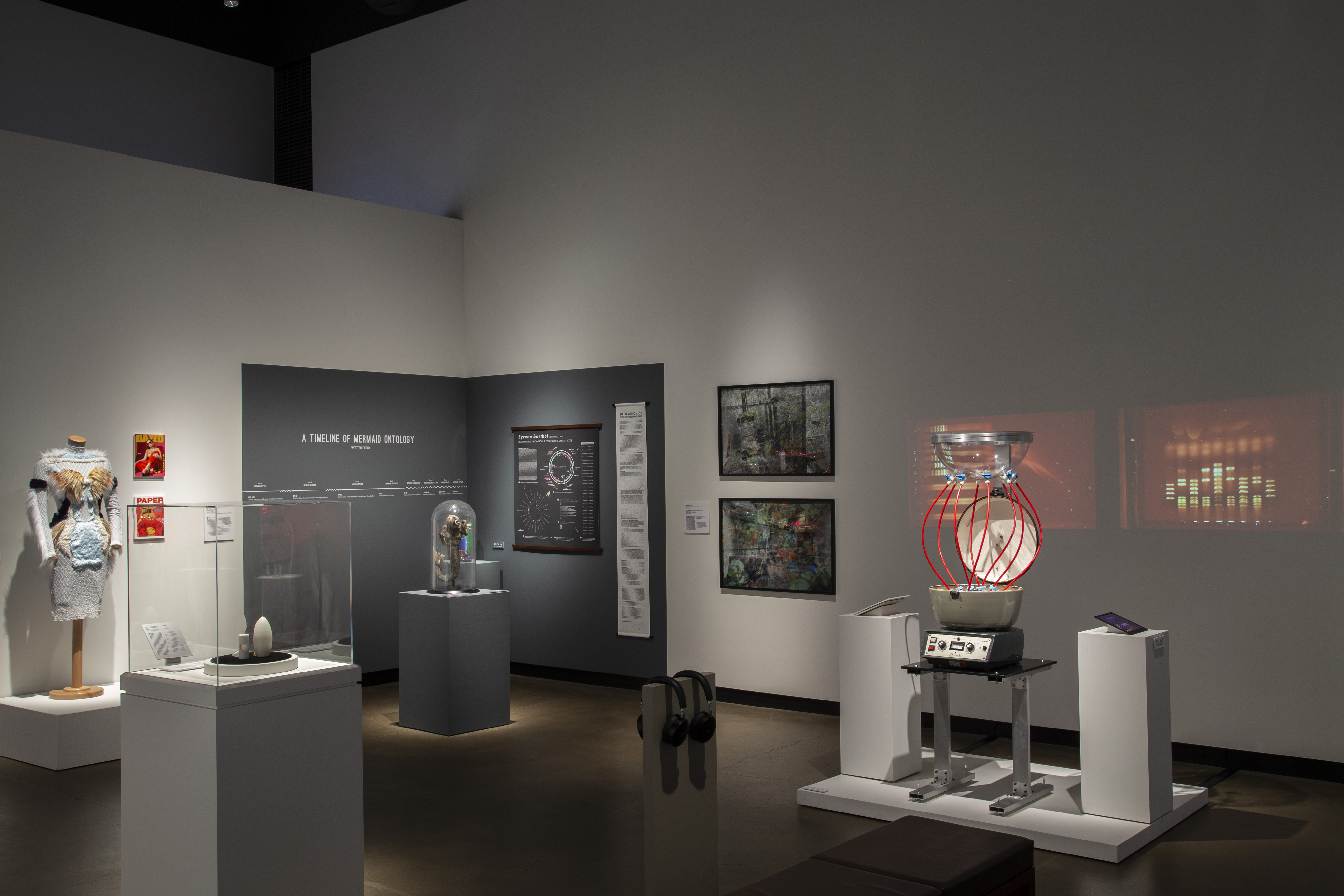 rt’s Work in the Age of Biotechnology at the Gregg Museum of Art and Design in Raleigh, NC. Installation image by Matthew Gay, courtesy of the Gregg Museum of Art & Design