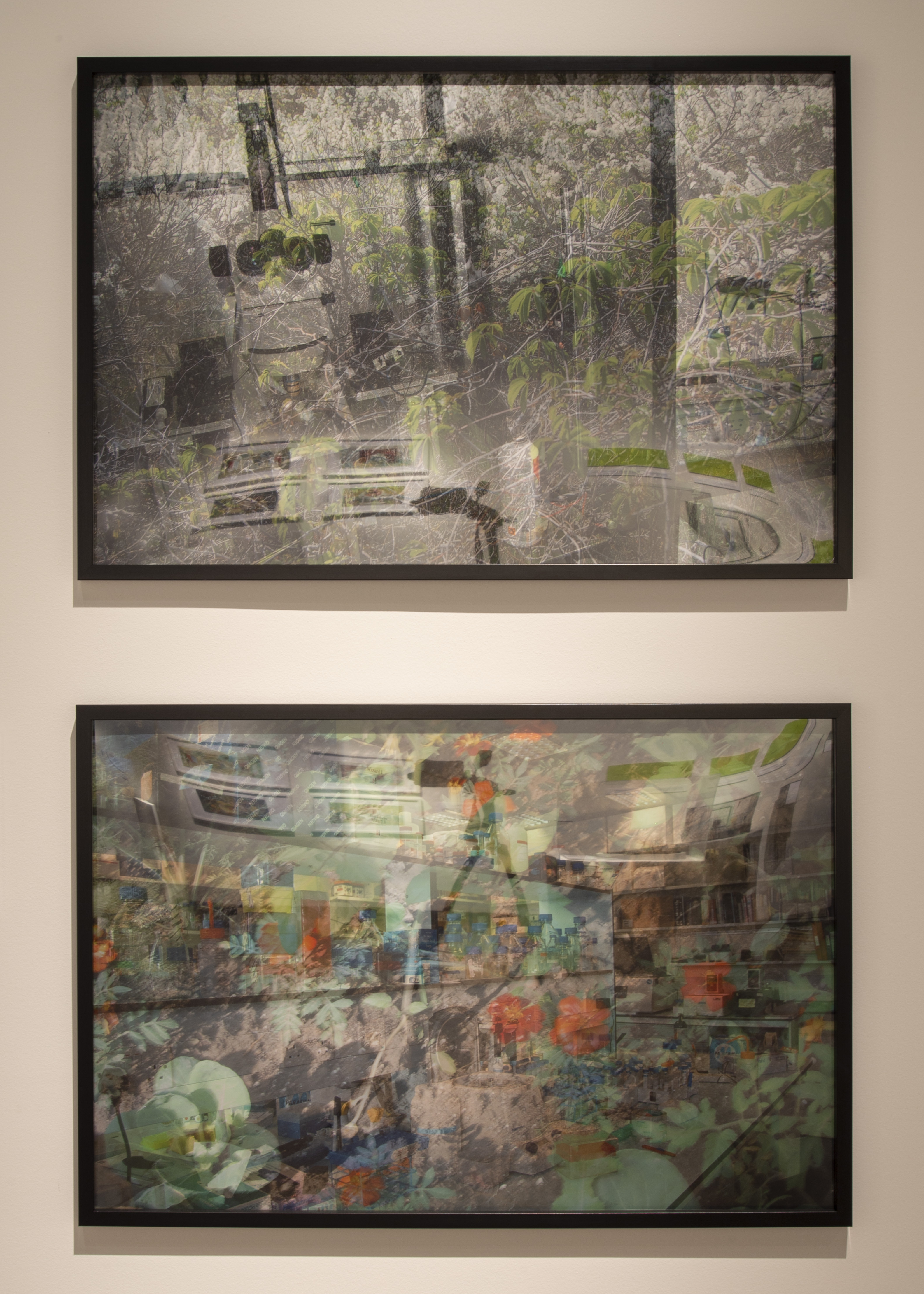 Suzanne Anker’s series Laboratory Life (for Oryx and Crake): Vanishing Point (2006) Snowman (2007). 24 x 36 digital prints, Image by Matthew Gay, courtesy of the Gregg Museum of Art & Design