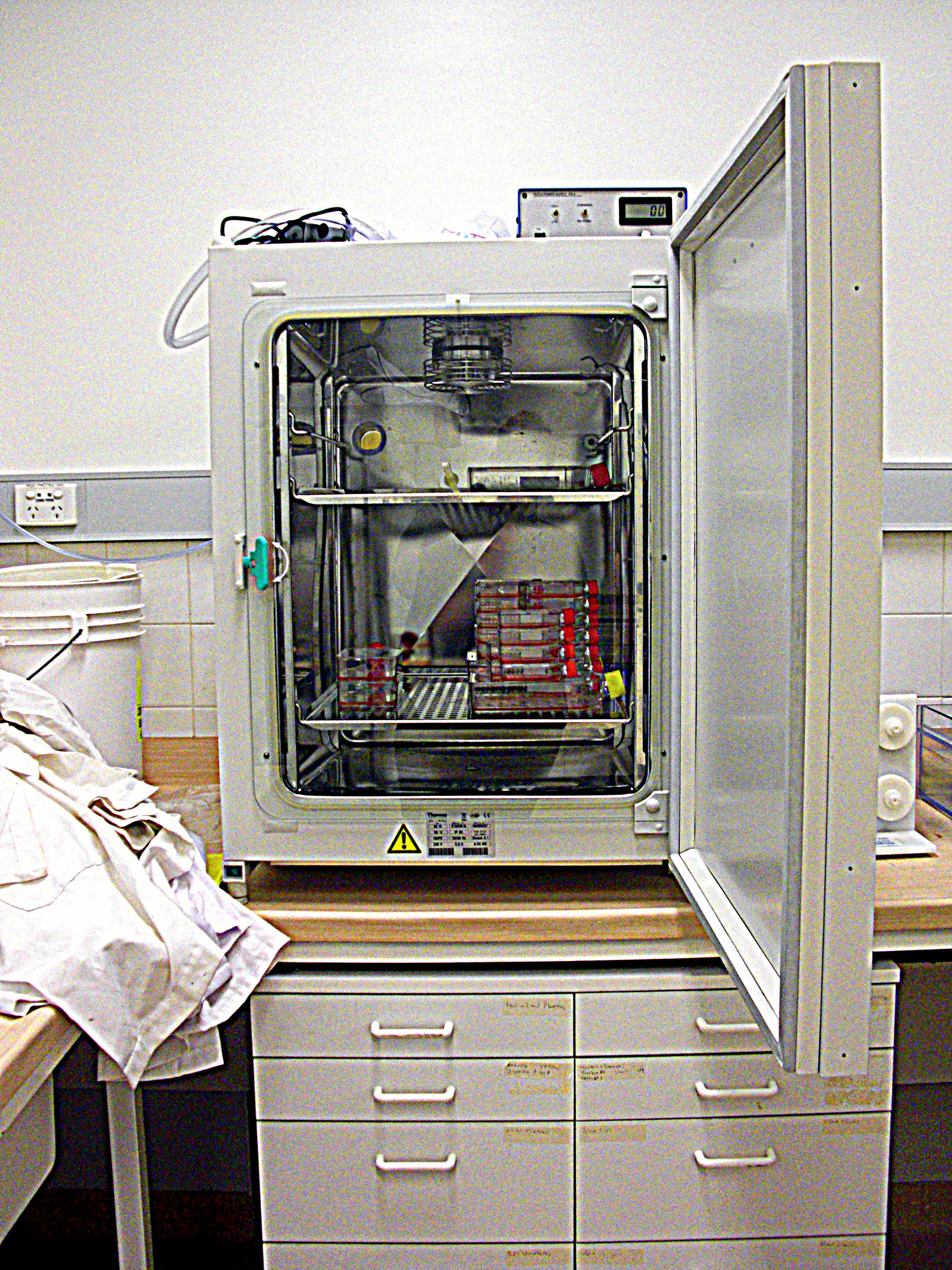 SymbioticA Lab at the University of Western Australia, 2009. (© Hannah Star Rogers)